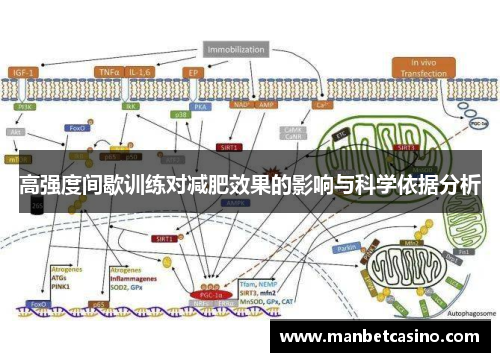 高强度间歇训练对减肥效果的影响与科学依据分析